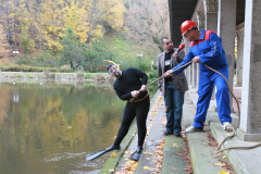 Majster in Tonček
